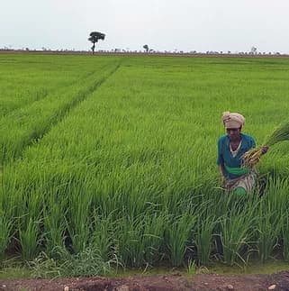 Underutilized resources